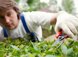 About Garden Hub - 爱游戏
