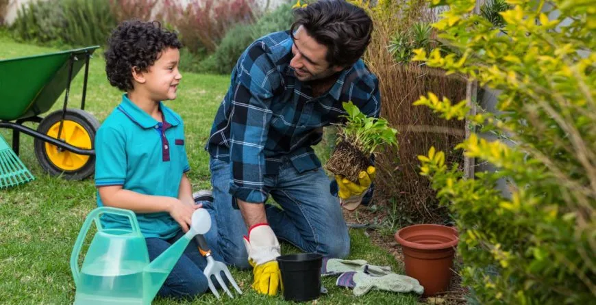 Landscaping: The Best Idea You’ve Ever Had - 爱游戏