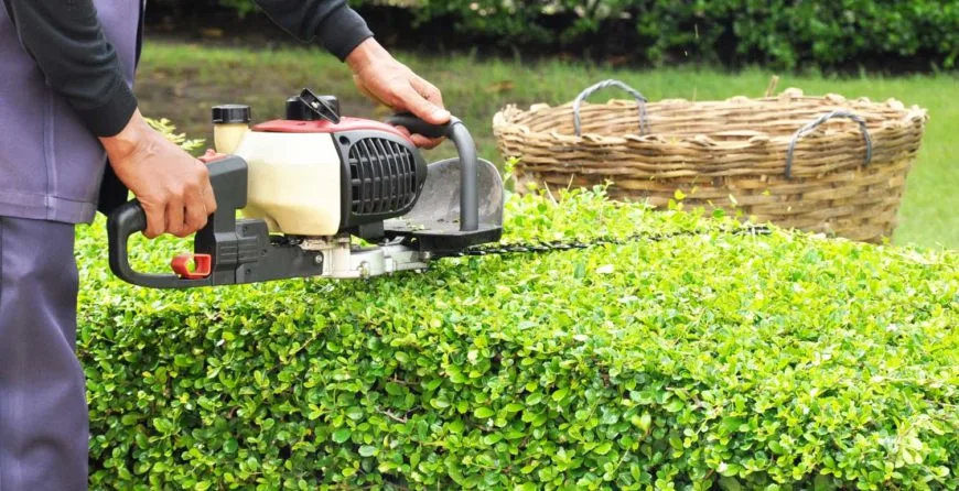 Landscaping: The Best Idea You’ve Ever Had - 爱游戏