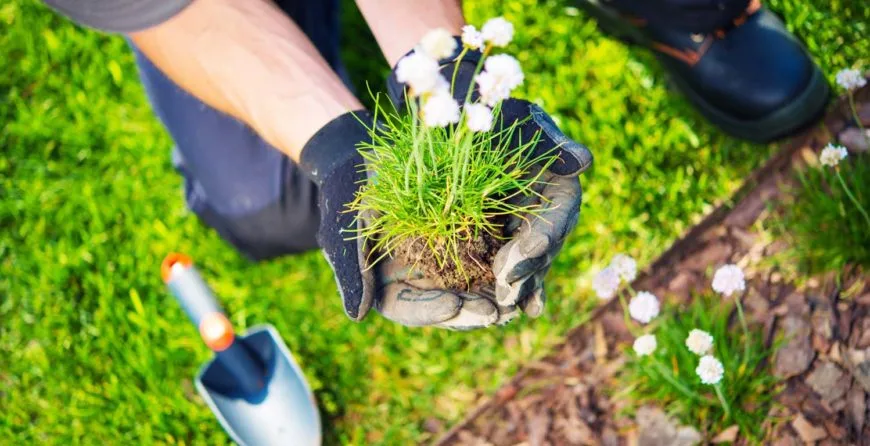 Landscaping: The Best Idea You’ve Ever Had - 爱游戏